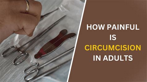 40 best circumcision images circumcision circumcision