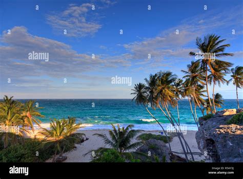 Caribbean Barbados Bottom Bay Beach Stock Photo Alamy