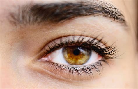 What Are Hazel Eyes And How Rare Are They 34 Hazel Eye Colors Facts 2022
