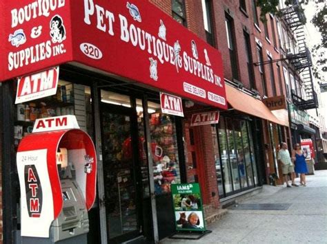 Pet grooming in brooklyn, ny. Pet Boutique and Supplies - Brooklyn, NY - Pet Supplies
