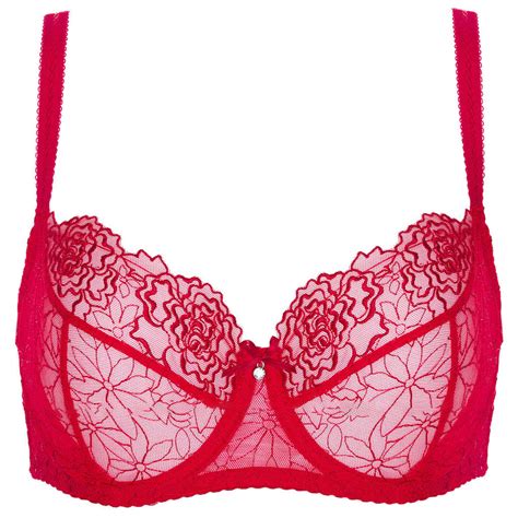 Sexy Sheer Lace Bra Fast Shipping Free Returns Lavinia Lingerie