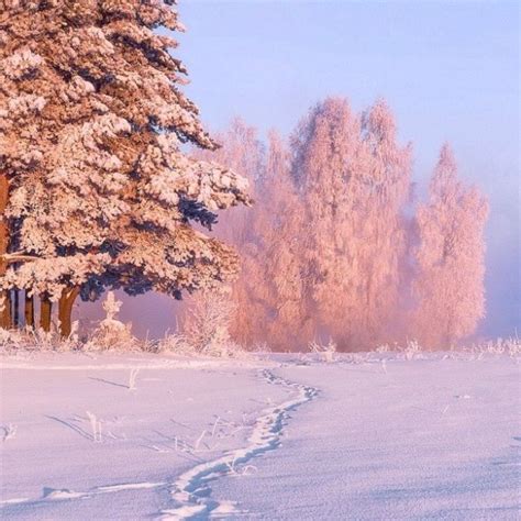 Photographer Captures Magnificent Beauty Of Radiant Winter Mornings In
