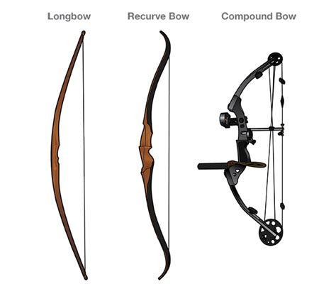 Introduction To Types Of Bows