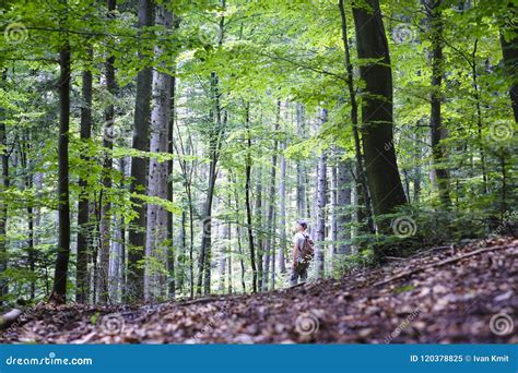 Alone Man In Wild Forest Stock Image Image Of Landscape 120378825