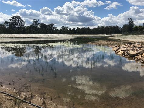 Ropes Crossing Wetlands Jk Williams