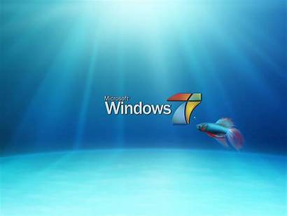 Windows Desktop Fish Wallpapers Quotes Mobile