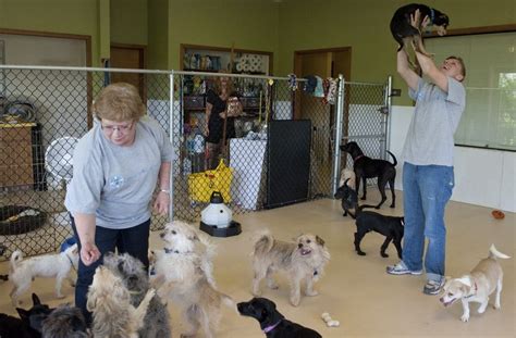Oregon Dog Rescue Celebrates Grand Opening Of Tualatin Shelter