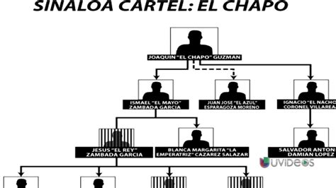 Sinaloa Cartel Ranks Structure