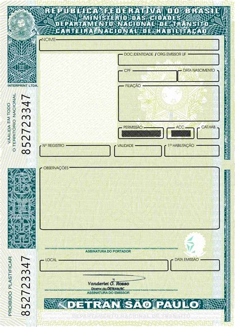 Resultado de imagem para cnh para imprimir | Habilitação, Carteira