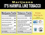 Pictures of Negative Facts About Marijuana