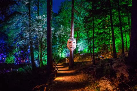 Pictures First Look At Wild New Enchanted Forest The Courier