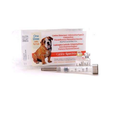 Canine Spectra 10 Dog Vaccine With Lepto And Parvo Shots For Puppies