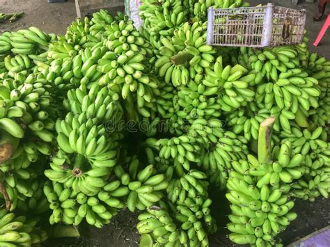 Pile Of Green Raw Banana At Deep Fried Banana Shop Phatthalung