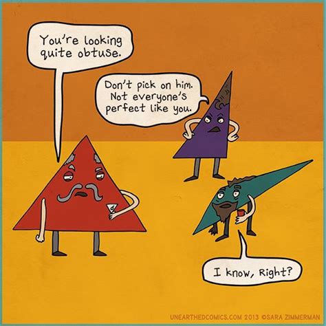 Math Cartoons And Math Comics About Triangles Of All Shapes Math Teacher Humor Math Cartoons