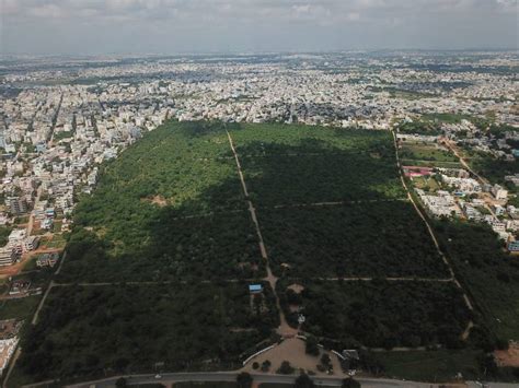 Here Are 8 Urban Forest Parks In Hyderabad You Shouldnt Miss Post Pandemic