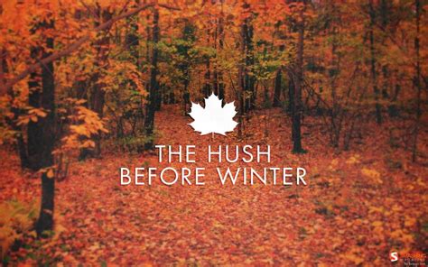 The Hush Before Winter Wallpaper Nature And Landscape Wallpaper Better