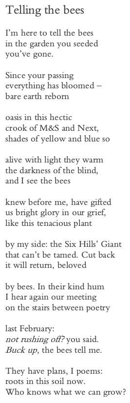 Friday Poem ‘telling The Bees Katherine Stansfield Bee Bee Poem Poems