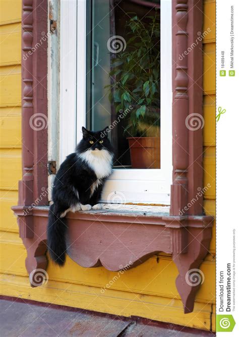 A Cat Sitting On The Window Sill Of Wooden House Royalty