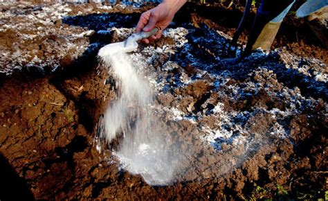 Wann ist der richtige zeitpunkt zum ausbringen von kalk? Bodenpflege im Garten: 10 Tipps - Mein schöner Garten