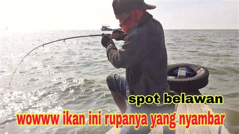 Malaysia mempunyai pelbagai bentuk muka bumi. Mancing di pinggir laut dan muara belawan - YouTube