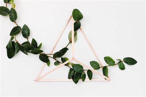 free photo green leaves inside wooden pyramid