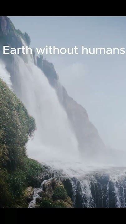Earth Without Humans Explorescience Nature Youtube