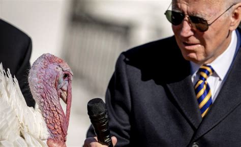 watch biden s turkey pardon ceremony gets weird conservative alerts