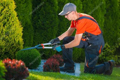 Jardinero Profesional En El Trabajo 2023