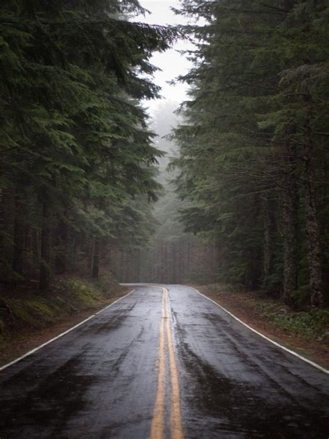 Check spelling or type a new query. Free download Rainy Forest Road Wallpaper MixHD wallpapers ...