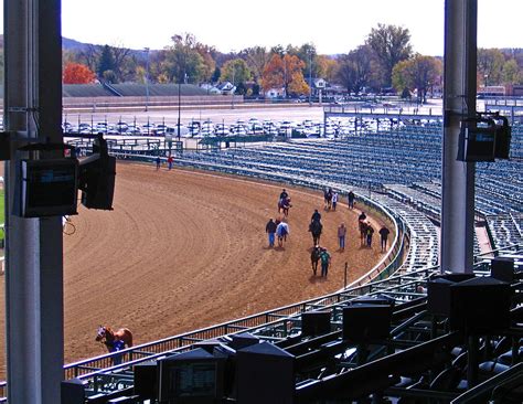 Horses On The Track 3 Photograph By Marian Bell Fine Art America