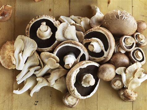 Mushroom Nutrition Facts: Calories, Carbs, and Health Benefits