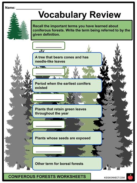 Forest Worksheet Educationcom