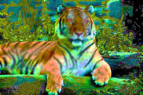 Trippy Tiger