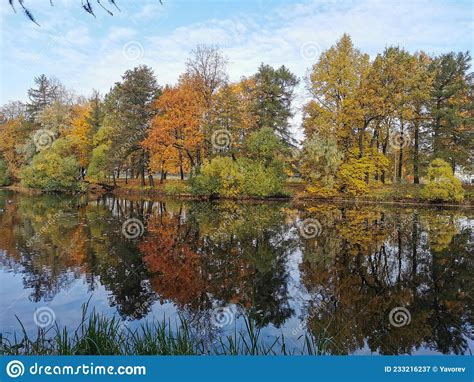 Autumn In The Park Trees With Yellowing Leaves Grow Around The Pond