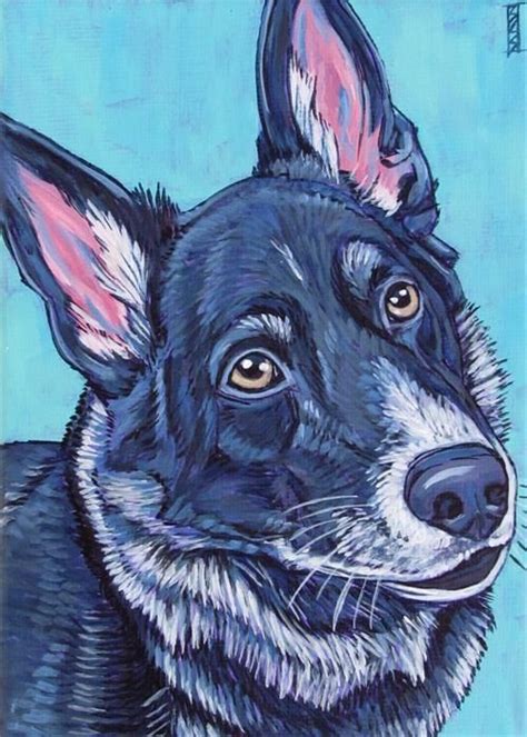 Another Beautiful Pet Portrait By Bethany Salisbury This One Looks