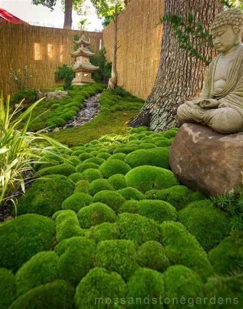 How To Grow Your Own Moss In 2020 Small Japanese Garden Japanese