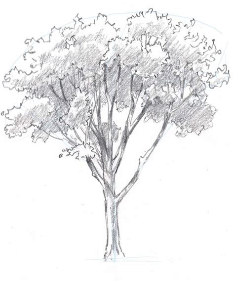 33 super idées de dessins d arbres pour apprendre à dessiner un arbre