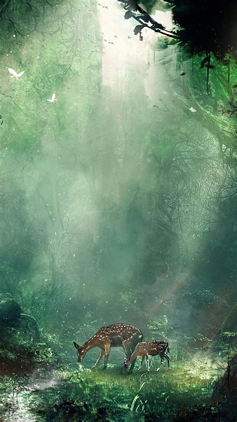 2160x3840 bambi jungle sony xperia x xz z5 premium hd 4k wallpapers images backgrounds photos