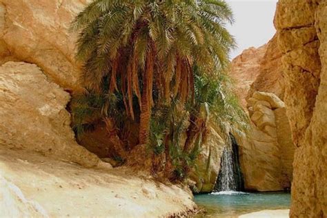 Oasis In Sahara Desert Tunisia Incredible Places Tunisia Wonders