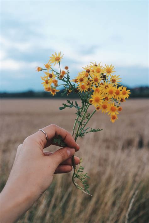 Why I Dont Share Everything — Field And Nest Hands Holding Flowers