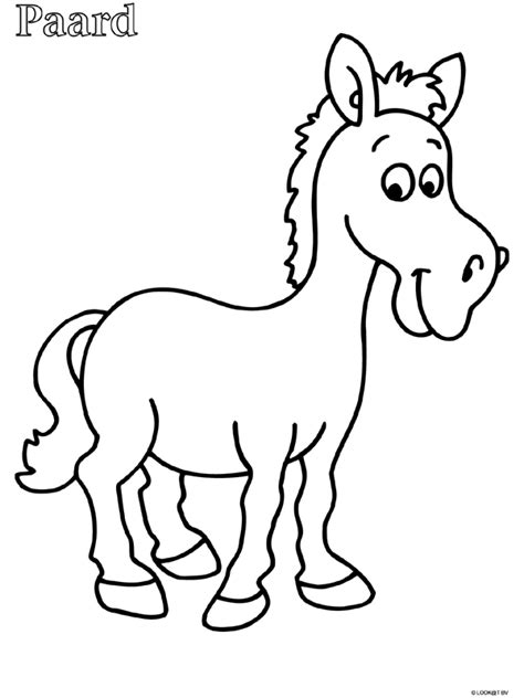 1279 x 913 png pixel. Peuter kleurplaat paard
