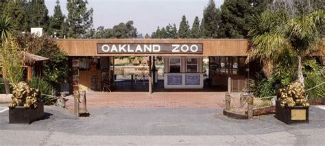 Oakland Zoo Celebrates 100th Birthday In 2022