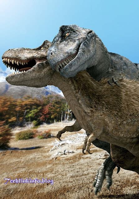 Scientists Show How Dinosaurs Had Sex Tricky When You Weigh 30 Tonnes And One Crucial Part Is