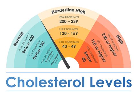 Easy Guide To Understanding Food Labels When You Have High Cholesterol