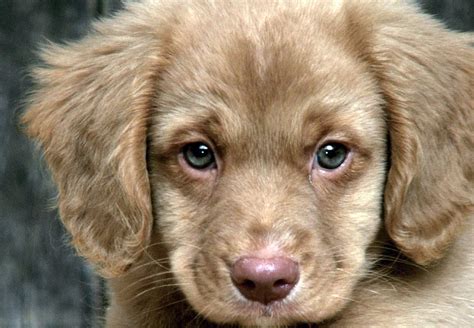 Petition · Stop Animal Cruelty And Abuse: Sign this and speak up for