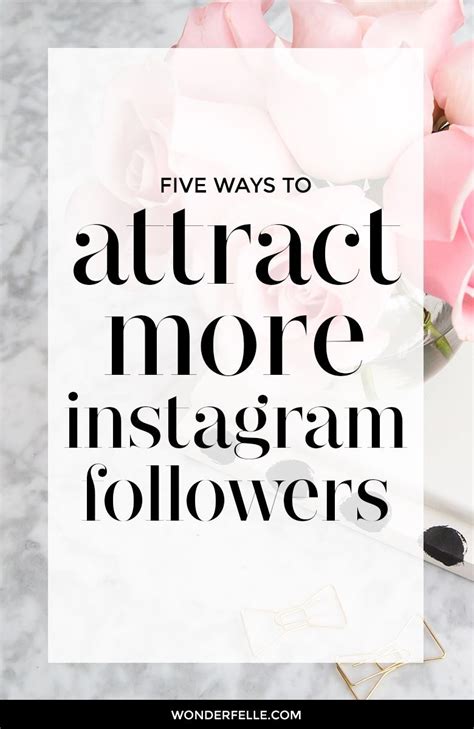 5 Ways To Attract More Instagram Followers More Instagram Followers