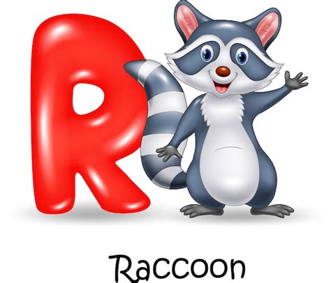 Premium Vector Alphabet R With Raccoon