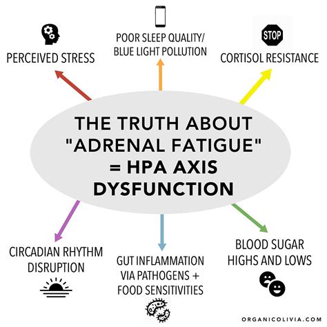 The Truth About Adrenal Fatigue And What It Really Is