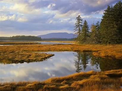 Desktop Maine Marsh National Park Harbor Wallpapers9