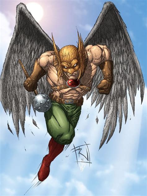 Hawkman Hawkman Dc Comics Characters Dc Comics Heroes